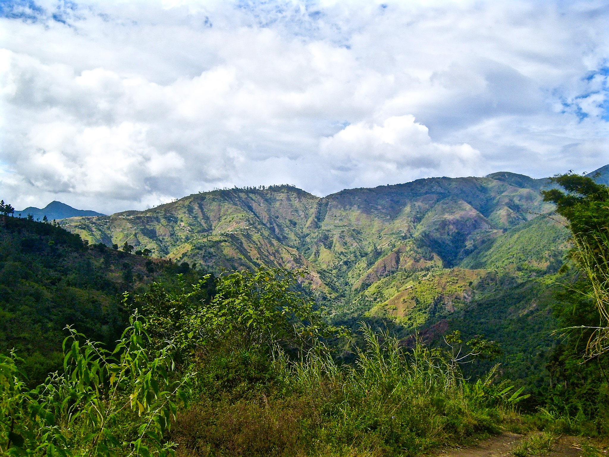 dd2084995bb19c0a7e14010440b0680e