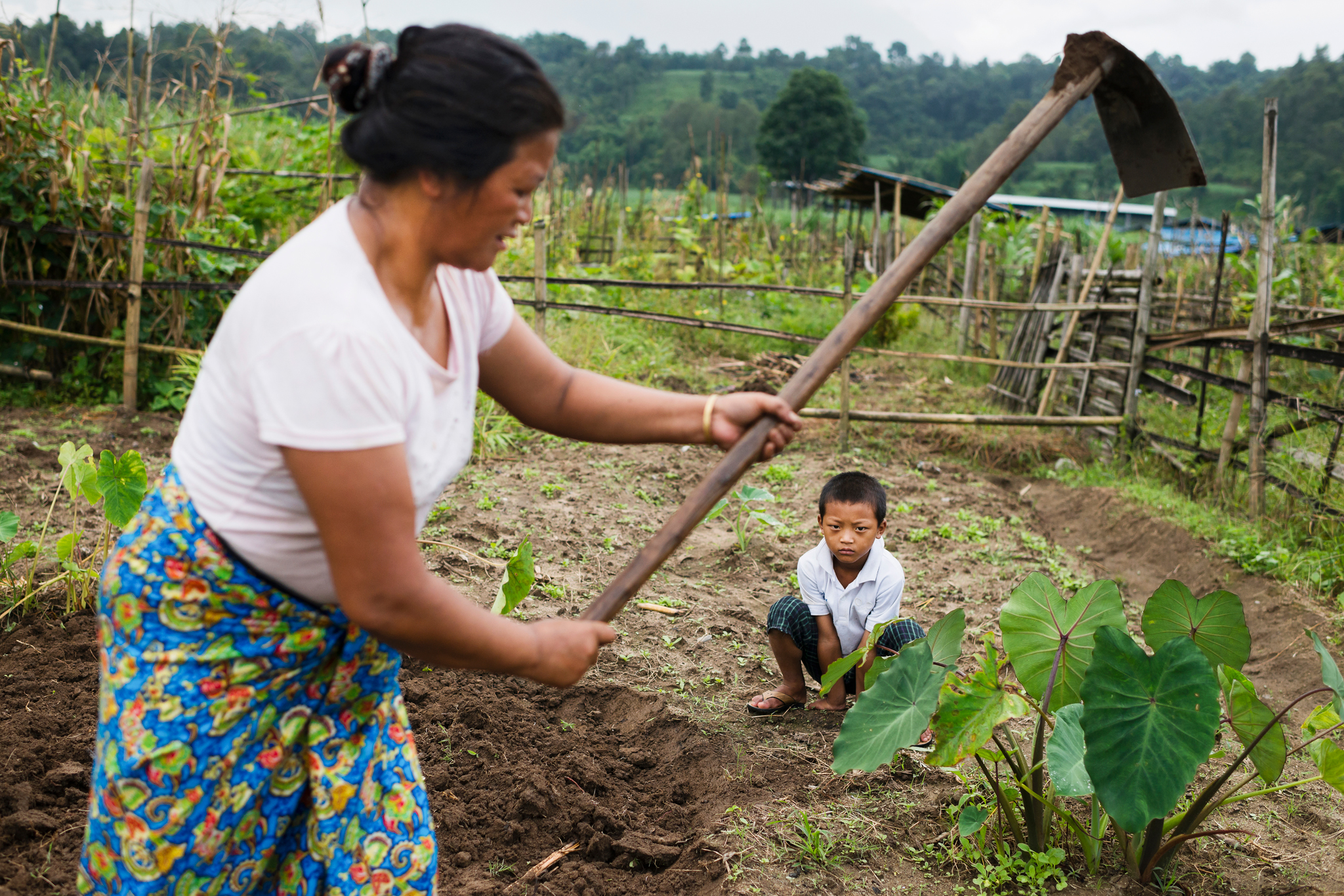 e015a7fde9374445758beeba0b0e38b3